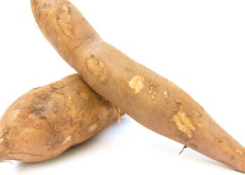 Batata Yacon (imagem: Jimejume - Getty Images via Canva)