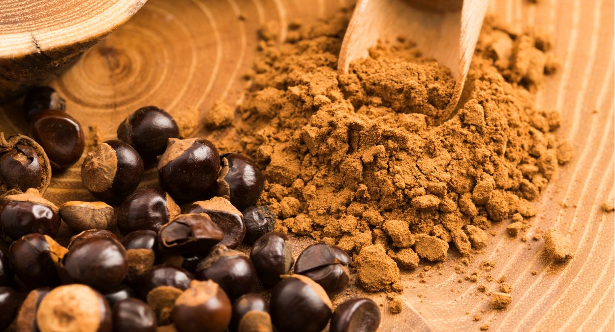 Semente do guaraná e pó de guaraná (imagem: Joanna Wnuk - Getty Images via Canva)