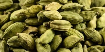 Cardamomo (imagem: Pixabay via Canva)