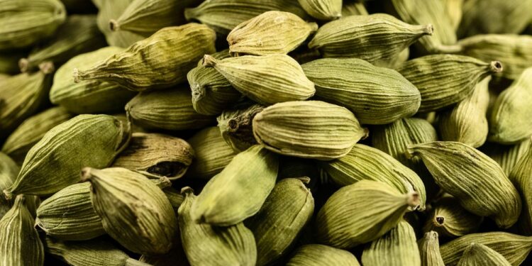 Cardamomo (imagem: Pixabay via Canva)
