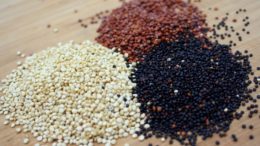 Quinoa ( foto fonte http://www.eucomosim.com/receitas/dicas-para-um-quinoa-perfeita/)