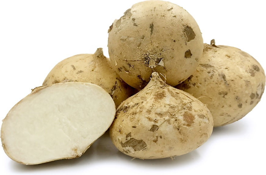 Jicama ( foto fonte http://www.specialtyproduce.com/produce/Jicama_917.php)