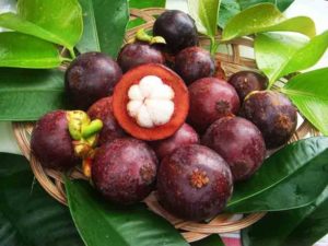 Mangostin (http://www.bionutelixir.com/product/garcinia-mangostana/)