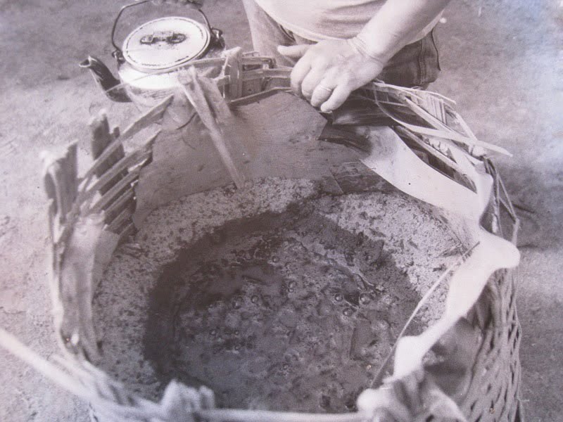 Dicuada de Cinzas (foto http://www.campusvirtual.ufsj.edu.br/)