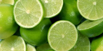 Os diferentes tipos de limão mais comuns no mundo