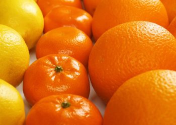 Tipos de laranja (imagem: Canva)