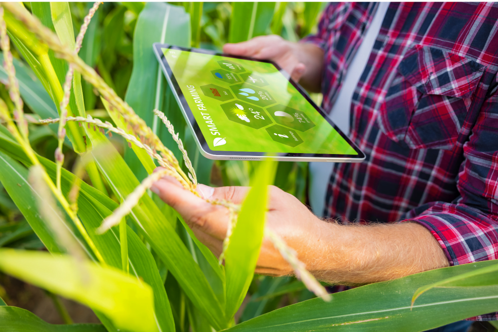 1º Simpósio Online sobre a Tranformação Digital na Agricultura (imagem: Canva)