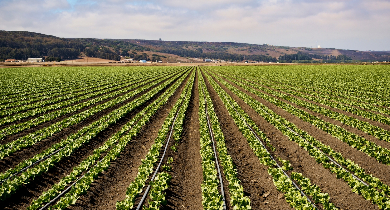 Simpósio Brasileiro de Agropecuária Sustentável 2023 será em outubro (Imagem: Canva)