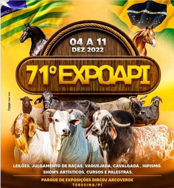 Expoapi 2022 (imagem: Divulgação)