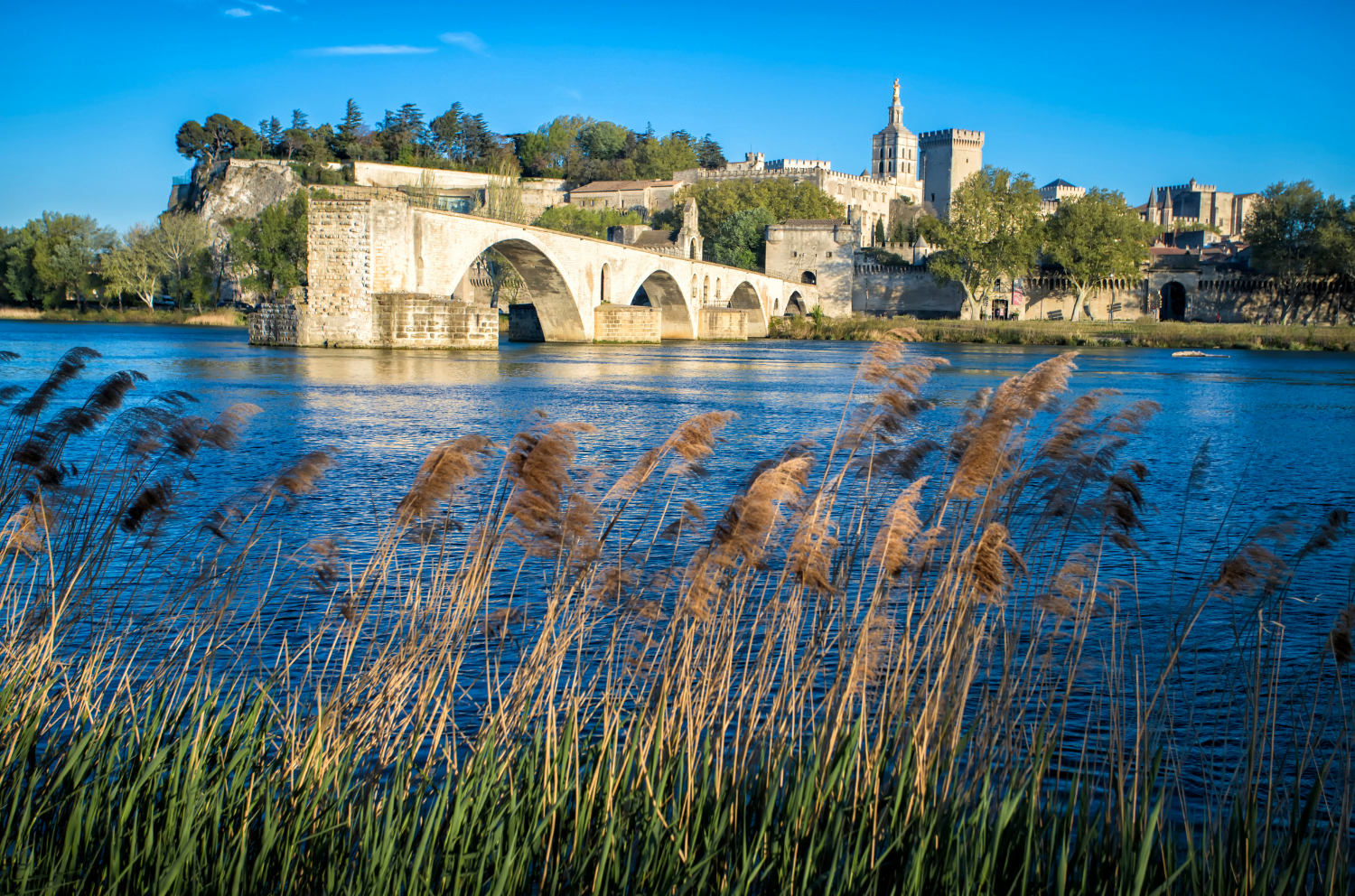 Avignon, França (imagem: Canva)