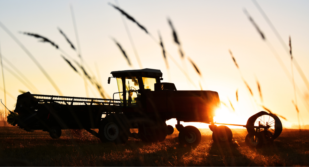 ExpoAgro Cotricampo 2023 ocorrerá em fevereiro, veja detalhes (imagem: Canva)