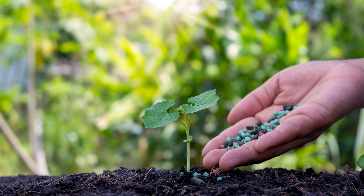 Fertilizer Latino Americano (imagem: Canva)