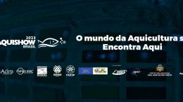 Aquishow Brasil 2023: confira a programação (imagem: Divulgação)