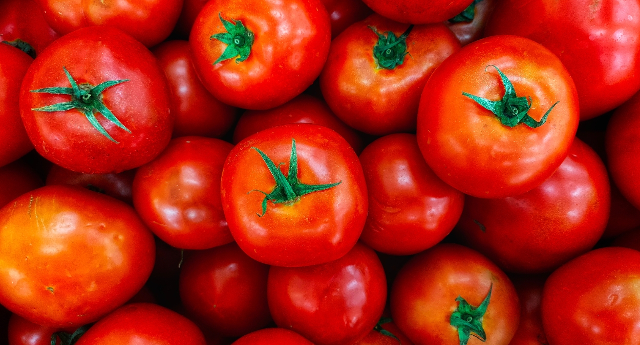 Festa do Tomate 2023 (imagem: Canva)