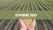 EXPOBAE 2023 contará com provas e competições, veja a seguir (imagem: Canva)