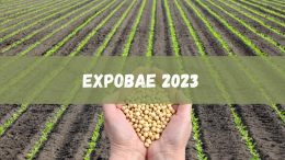 EXPOBAE 2023 está confirmada para outubro, veja as atrações (imagem: Canva)