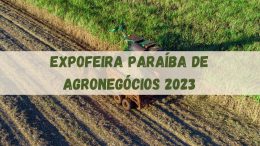 Expofeira Paraíba Agronegócios 2023 começa dia 17. Veja as atrações (imagem: Canva)