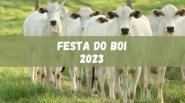 Festa do Boi 2023 ocorrerá em outubro, veja a programação (imagem: Canva)