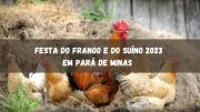 Festa do Frango e do Suíno 2023 em Pará de Minas começa hoje (13). Veja a programação (imagem: Canva)