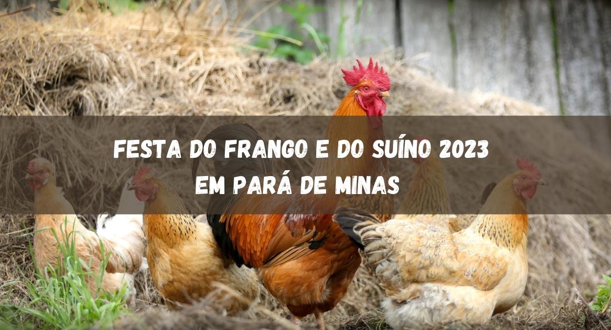 Festa do Frango e do Suíno 2023 em Pará de Minas (imagem: Canva)
