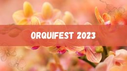 Orquifest 2023 em Blumenau já está a todo vapor! Veja a programação (imagem: Canva)