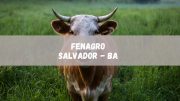 Fenagro 2023 é cancelada em Salvador, confira os detalhes (imagem: Canva)