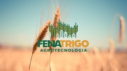 Fenatrigo 2023 já começou e conta com Pavilhão de Agricultura Familiar, confira (imagem: Canva)