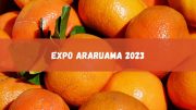 Expo Araruama 2023 começa nesta quinta, 2. Veja as atrações (imagem: Canva)