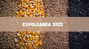 ExpoLoanda 2023 começa nesta quinta, veja as novidades (imagem: Canva)