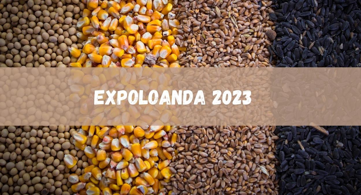 ExpoLoanda 2023 (imagem: Canva)