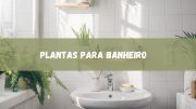 As Melhores Plantas para Banheiros: veja quais escolher (imagem: Canva)