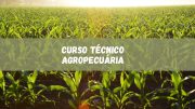 Curso Técnico em Agropecuária 2024: oportunidade gratuita (imagem: Canva)