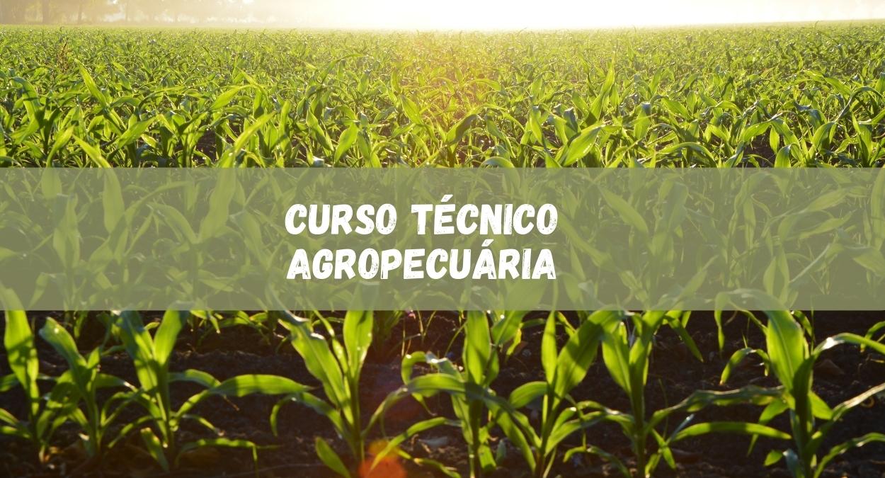 Curso Técnico em Agropecuária (imagem: Canva)