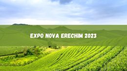 Expo Nova Erechim 2023 está confirmada para dezembro, confira (imagem: Canva)