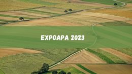 Expoapa 2023 já começou! Veja as atrações dos próximos dias (imagem: Canva)
