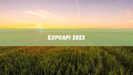 Expoapi 2023 está confirmada par dezembro, veja as atrações (imagem: Canva)
