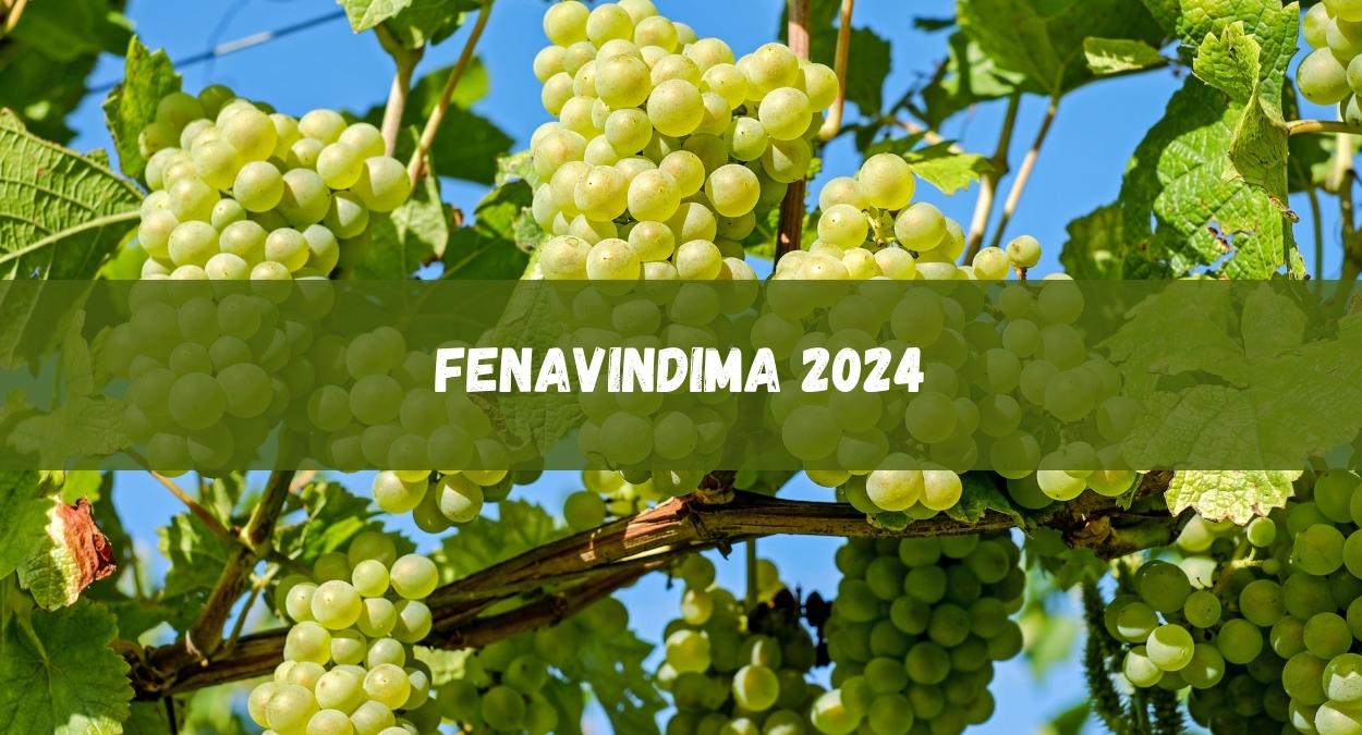 Fenavindima 2024 (imagem: Canva)