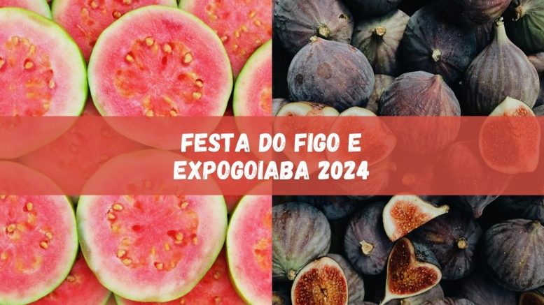 Festa do Figo e Expogoiaba 2024 já têm datas divulgadas, confira (imagem: Canva)