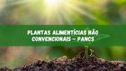 Plantas Alimentícias Não Convencionais (PANCs): Uma Jornada Nutritiva (imagem: Canva)