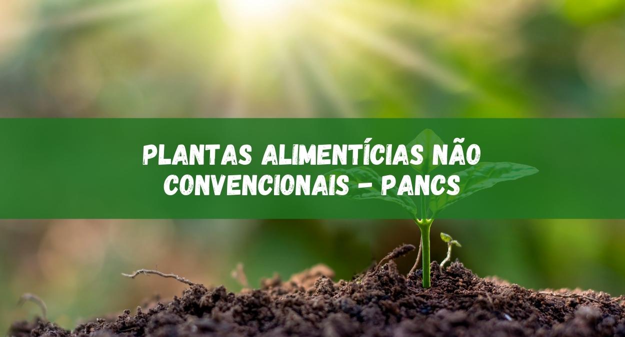 Plantas Alimentícias Não Convencionais (PANCs) (imagem: Canva)