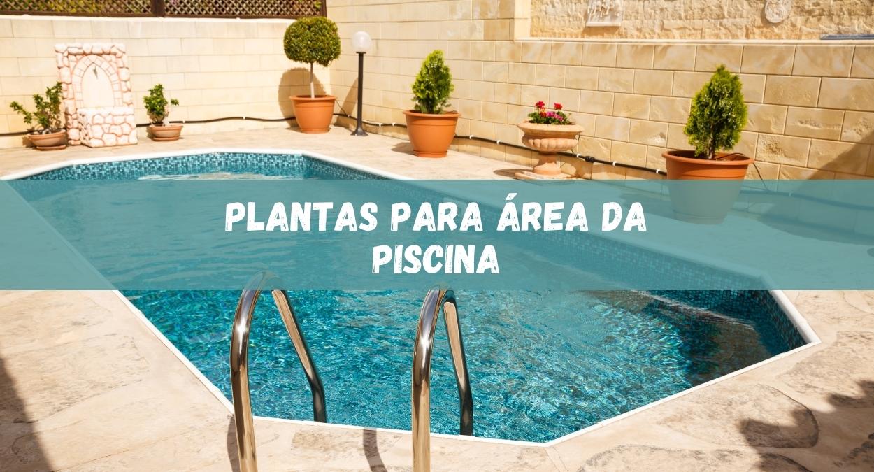 Plantas para área da piscina (imagem: Canva)