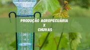 Impacto das Chuvas: Produção Agropecuária no Paraná Enfrenta Desafios (imagem: Canva)