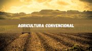 Agricultura Convencional: o que é e quais suas características (imagem: Canva)