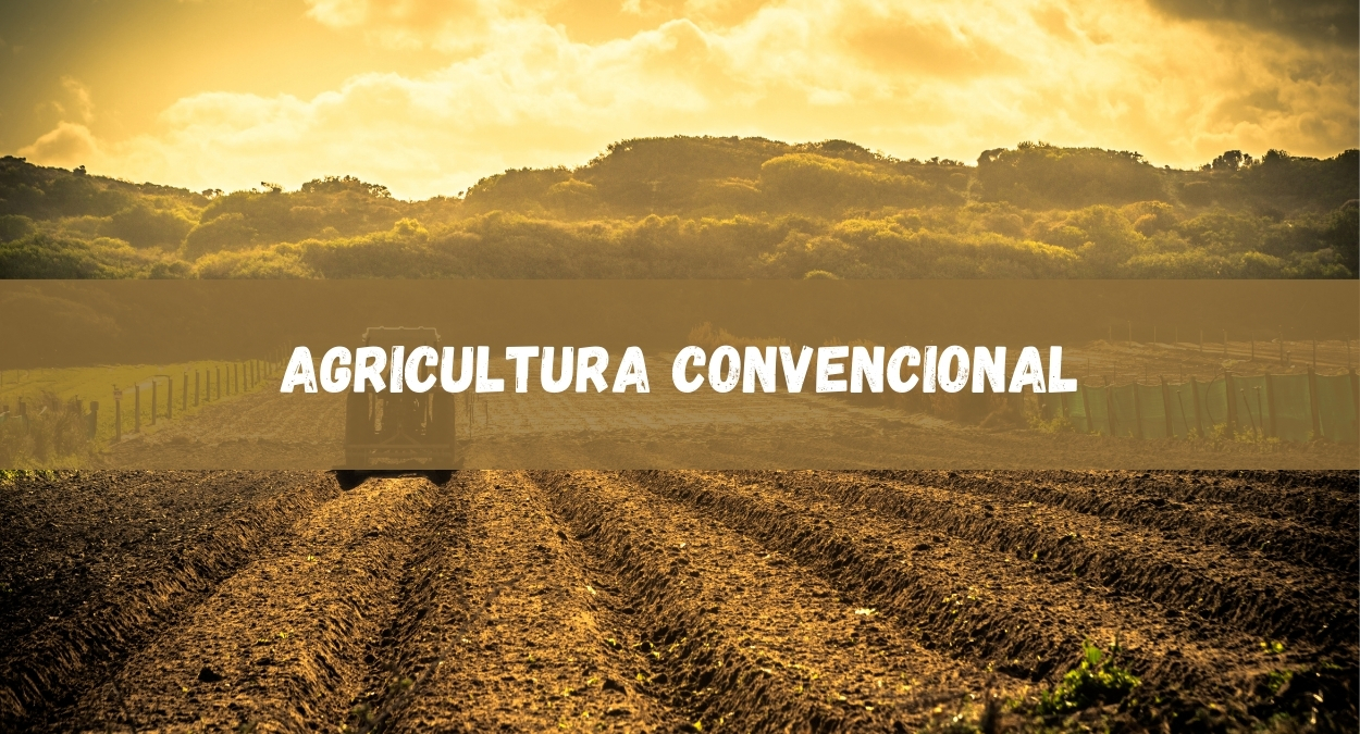 Agricultura Convencional (imagem: Canva)