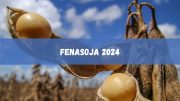 Fenasoja 2024 tem shows confirmados, confira! (imagem: Canva)