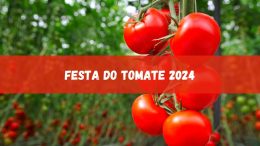 Festa do Tomate 2024: veja os shows confirmados (imagem: Canva)