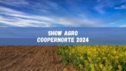 Show Agro Coopernorte 2024 tem datas divulgadas, confira! (imagem: Canva)