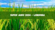 SuperAgro Londrina 2024 começa nesta terça, 16. Veja as atrações (imagem: Canva)