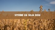Vitrine da Soja 2024: veja as atrações do evento (imagem: Canva)