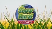 Show Rural Coopavel 2025 tem datas divulgadas, confira! (imagem: Divulgação)